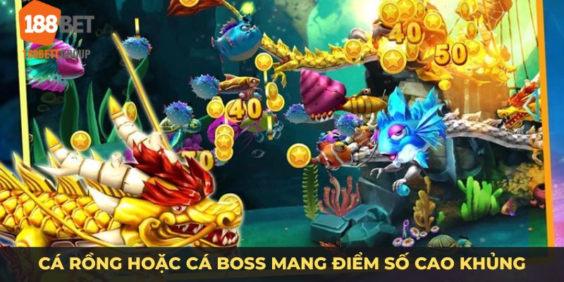 Cá rồng hoặc cá boss mang điểm số cao khủng